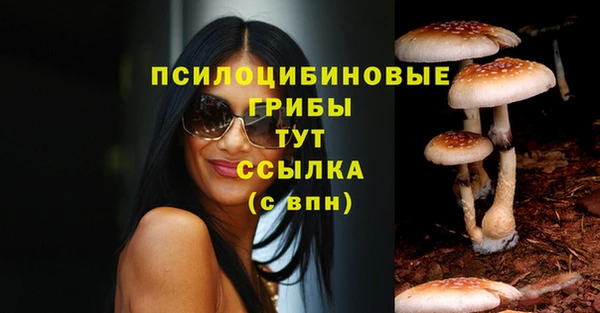 ECSTASY Протвино
