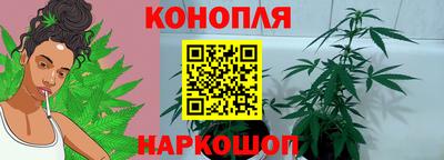 индика Балашиха