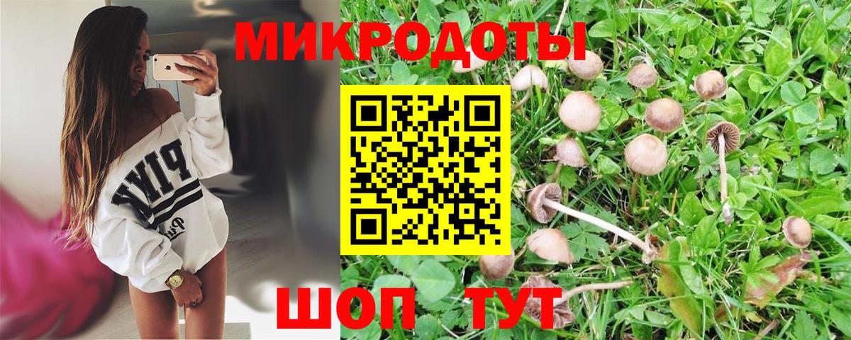 Псилоцибиновые грибы Cubensis Урай