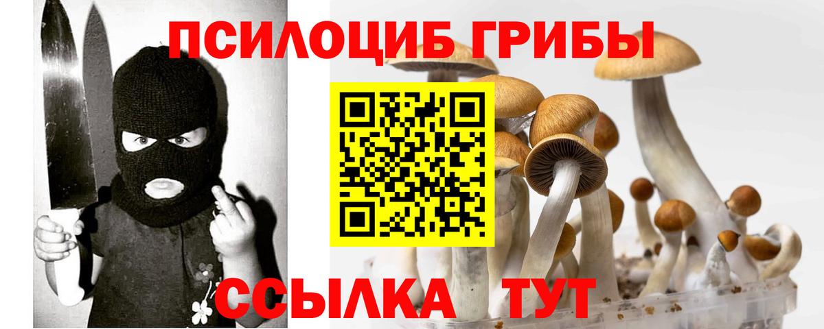 закладки  Галлюциногенные грибы ЛСД  Вход с VPN  Урай  Псилоцибиновые грибы MAGIC MUSHROOMS 